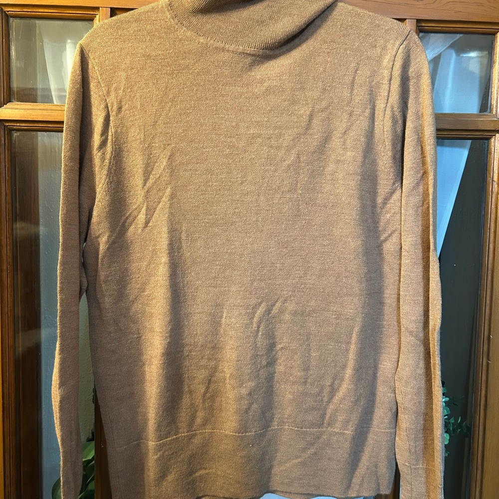 J. Crew Turtleneck Sweater in Ta